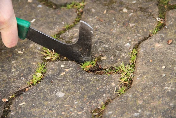 Hand entfernt Unkraut mit Fugenkratzer aus Pflaster